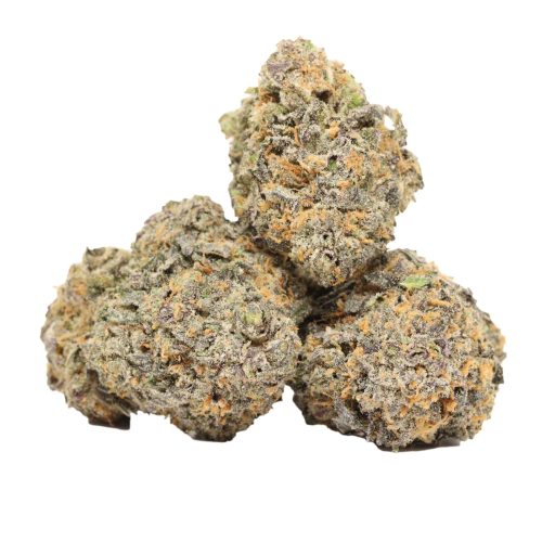 Tropicana Jet Fuel strain cannabis