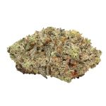 Tropicana Jet Fuel weed cannabis