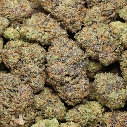 Tropicana Jet Fuel cannabis