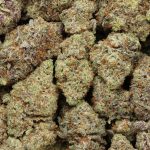 Tropicana Jet Fuel cannabis