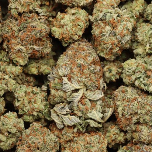 Tuna OG cannabis