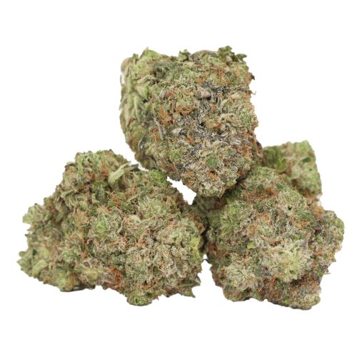 Ultra Pink strain cannabis