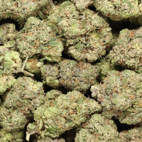 Ultra Pink cannabis