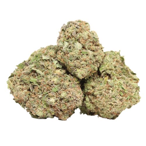 Violator Kush strain cannabis