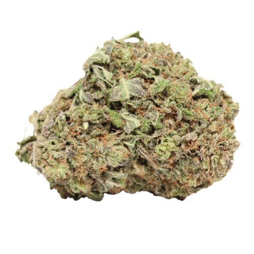 Violator Kush weed cannabis