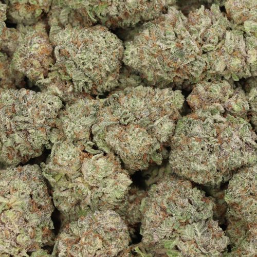 White Widow cannabis