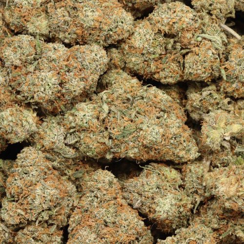 Banana Runtz cannabis wholesale