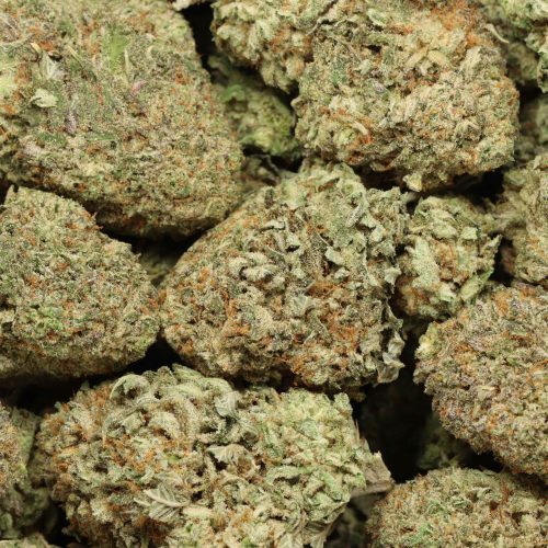 Dream Wedding cannabis