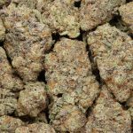 Leanne WoMAC cannabis