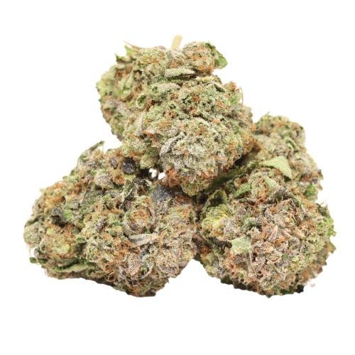 Pink Alien strain cannabis
