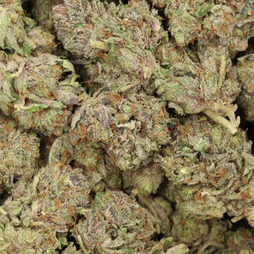 Pink Alien cannabis wholesale