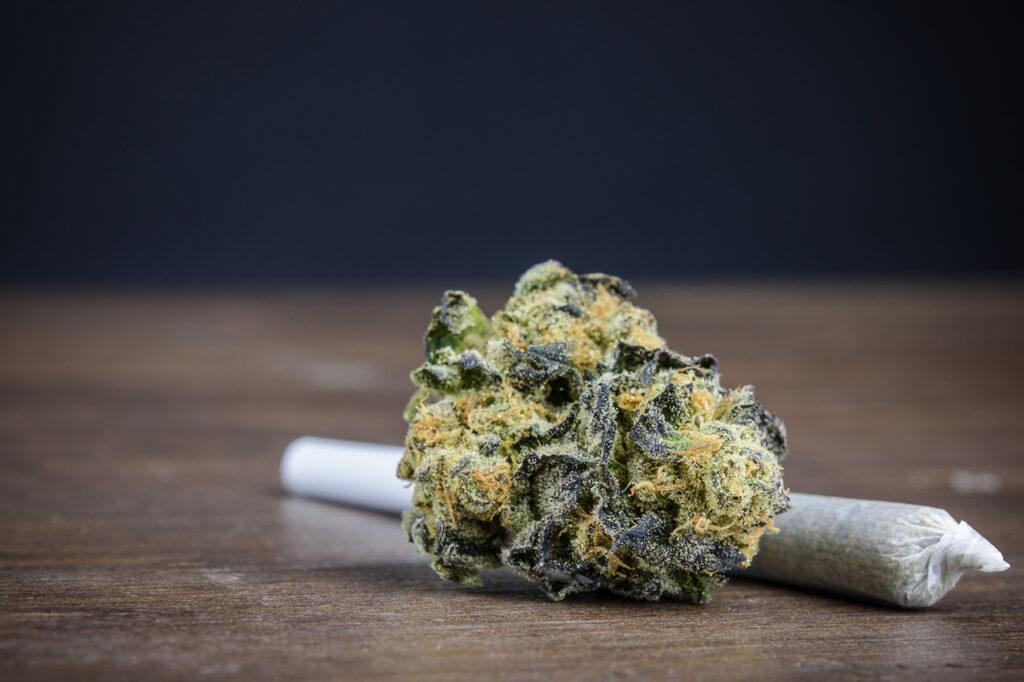 Cannabis Strains in Canada: Effects & Usage Tips