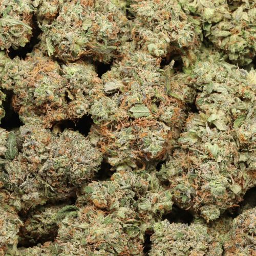 Tom Ford Pink Kush cannabis